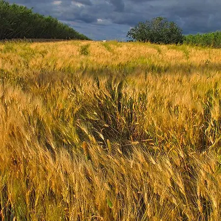 Saint George Ecotel Отель