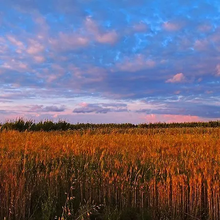Saint George Ecotel Отель 2*